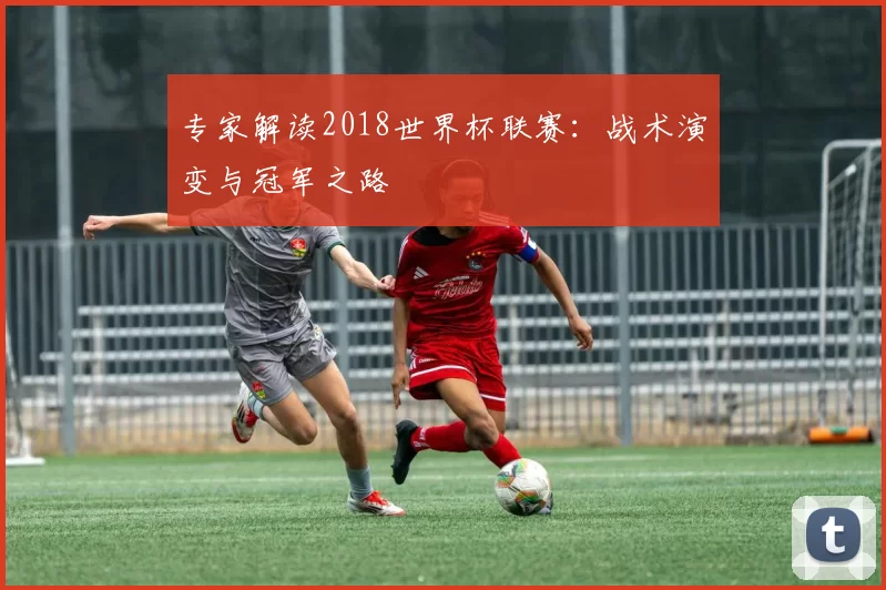 专家解读2018世界杯联赛：战术演变与冠军之路