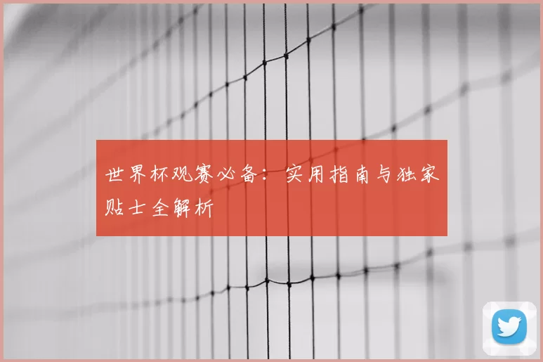 世界杯观赛必备：实用指南与独家贴士全解析