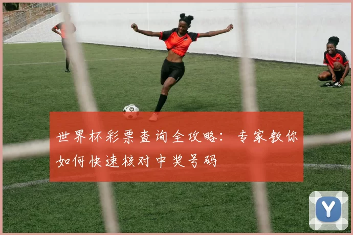 世界杯彩票查询全攻略：专家教你如何快速核对中奖号码