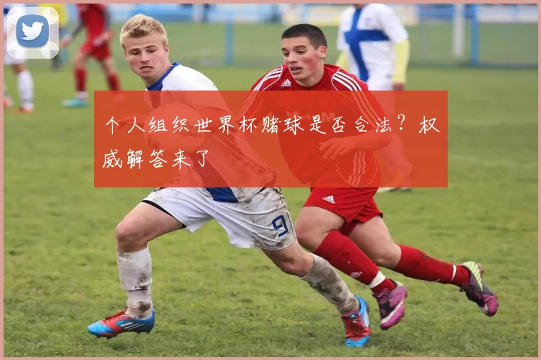 个人组织世界杯赌球是否合法？权威解答来了