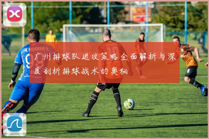 广州排球队进攻策略全面解析与深度剖析排球战术的奥秘