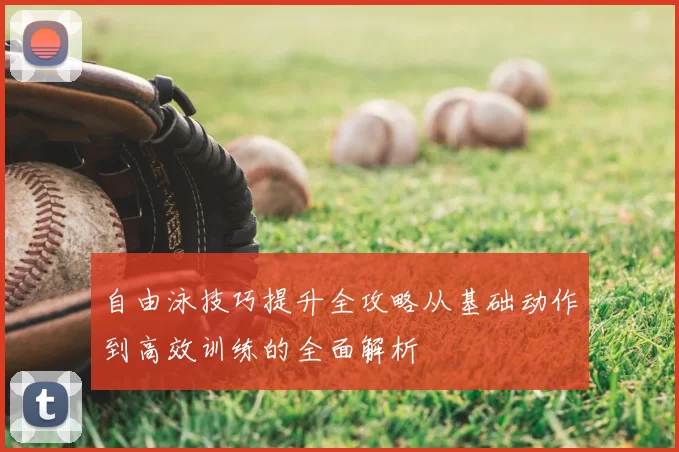 自由泳技巧提升全攻略从基础动作到高效训练的全面解析
