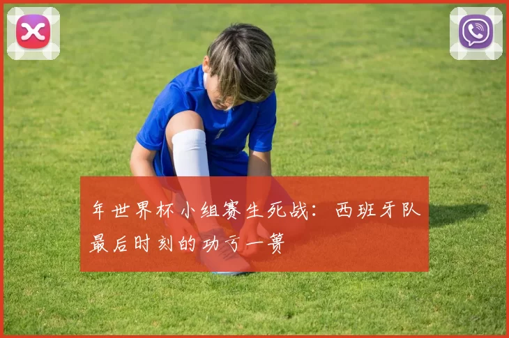 年世界杯小组赛生死战:西班牙队最后时刻的功亏一篑