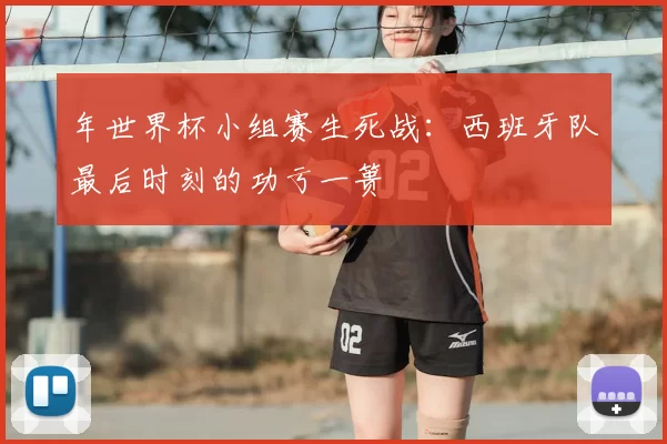 年世界杯小组赛生死战：西班牙队最后时刻的功亏一篑