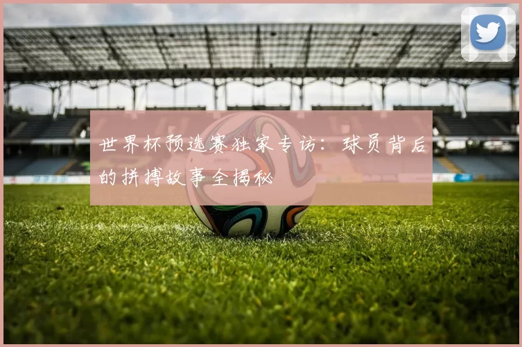 世界杯预选赛独家专访：球员背后的拼搏故事全揭秘