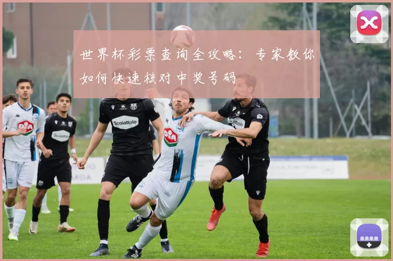 世界杯彩票查询全攻略：专家教你如何快速核对中奖号码