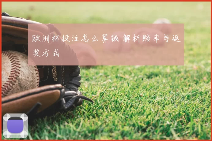 欧洲杯投注怎么算钱 解析赔率与返奖方式
