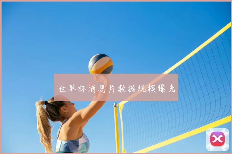 世界杯消息片数据规模曝光