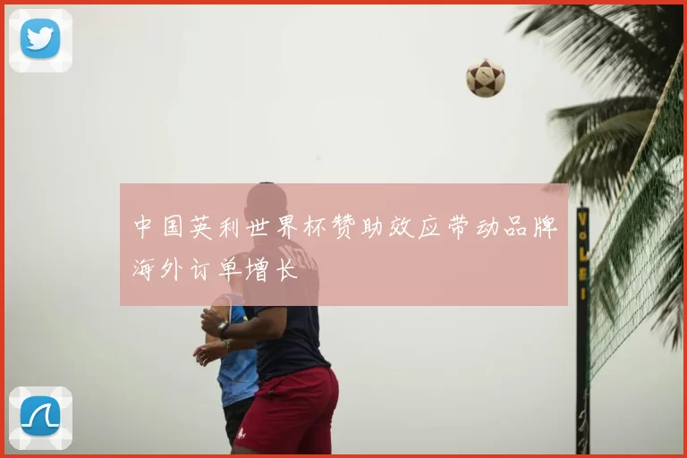 中国英利世界杯赞助效应带动品牌海外订单增长