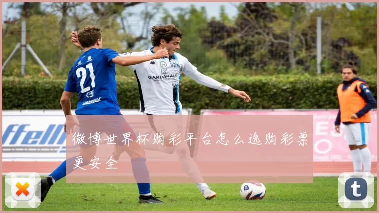 微博世界杯购彩平台怎么选购彩票更安全