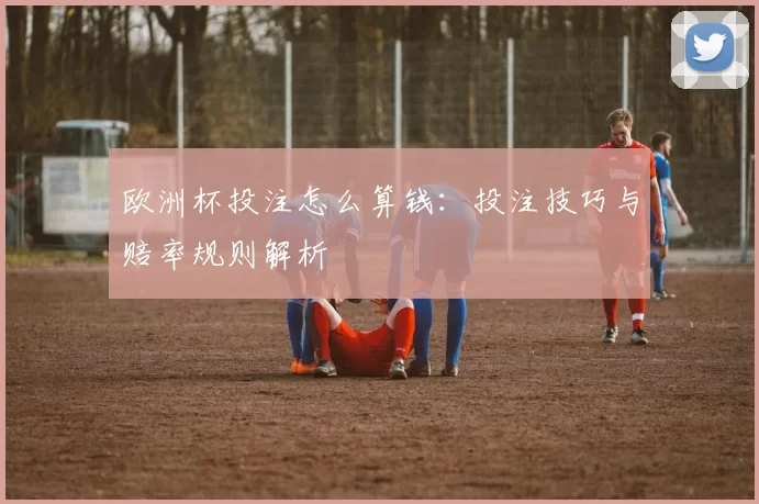 欧洲杯投注怎么算钱：投注技巧与赔率规则解析
