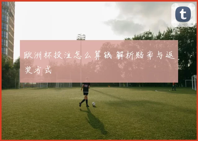 欧洲杯投注怎么算钱 解析赔率与返奖方式